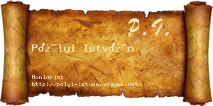 Pályi István névjegykártya